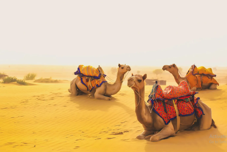 Jaisalmer Desert Hiking Tours