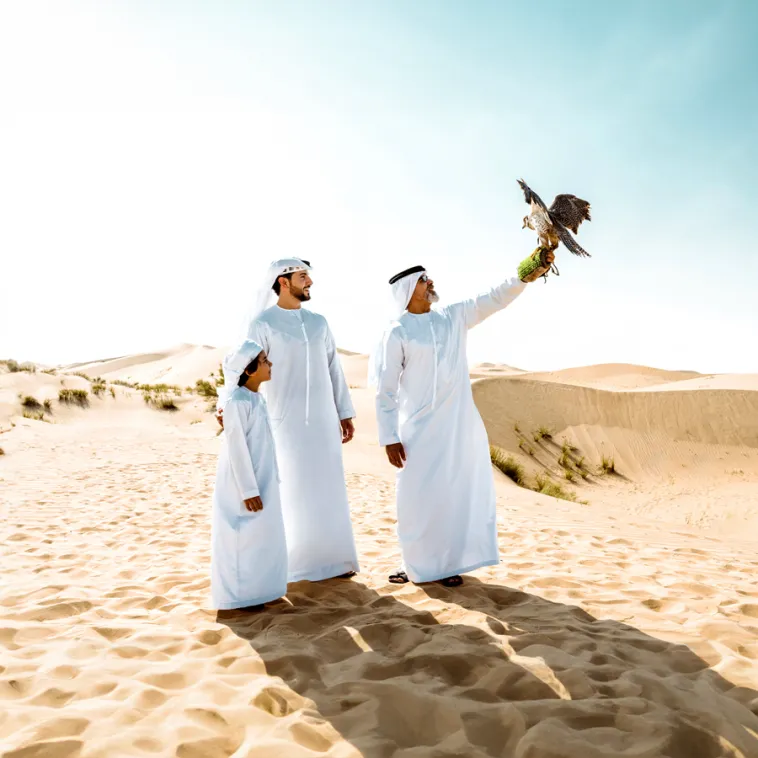 Desert Eagle Moments