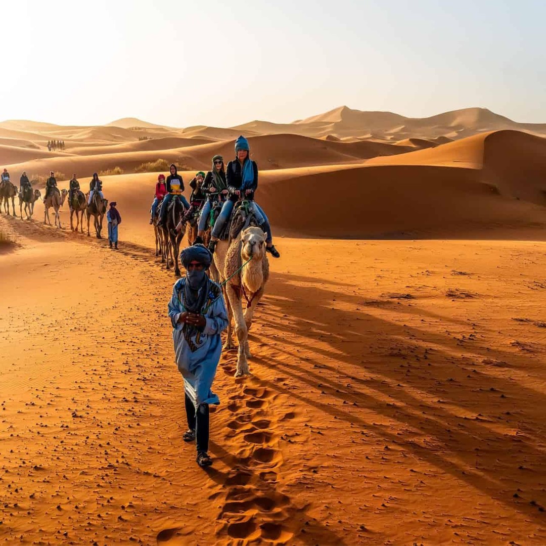 Experience the thrill of desert life atop a camel.